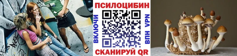 Галлюциногенные грибы Magic Shrooms  где купить   Лебедянь 
